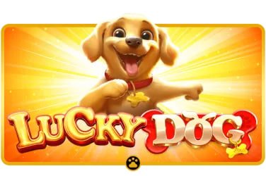 Ilustrasi permainan sportsbook, slot online, dan live casino di tarkamtoto untuk pengguna Indonesia